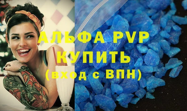прущие грибы Карпинск