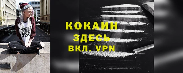 прущие грибы Карпинск