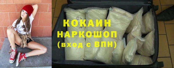 прущие грибы Карпинск