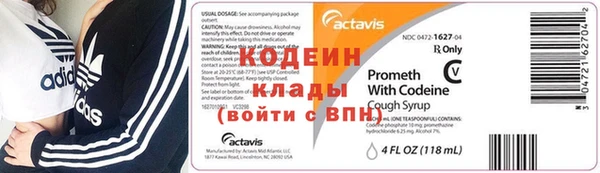 прущие грибы Карпинск