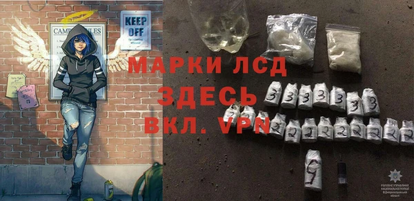 прущие грибы Карпинск