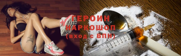 прущие грибы Карпинск